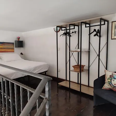 Bonellus * 巴勒莫